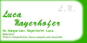 luca mayerhofer business card